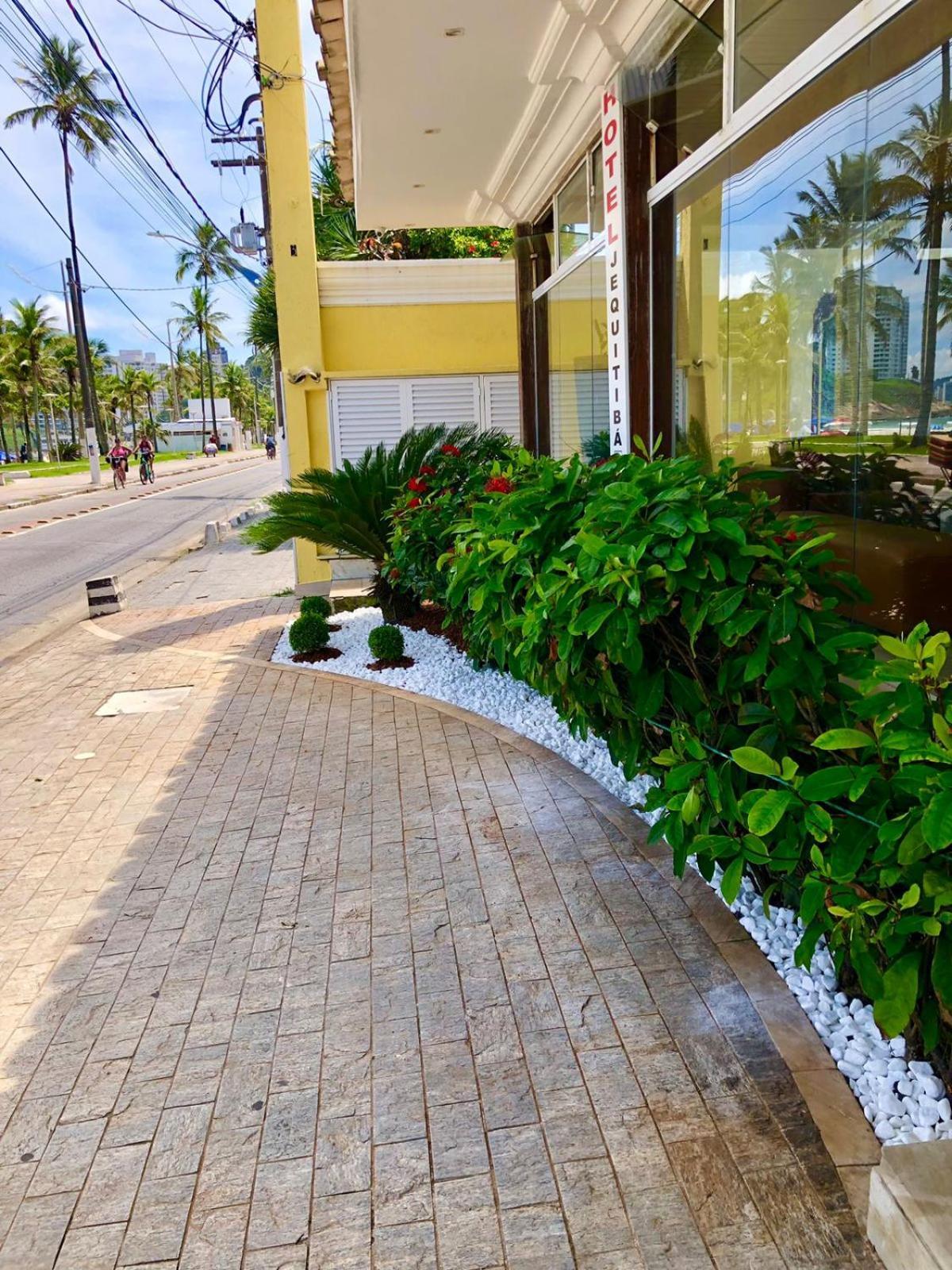 Jequitiba Frente Ao Mar Guarujá